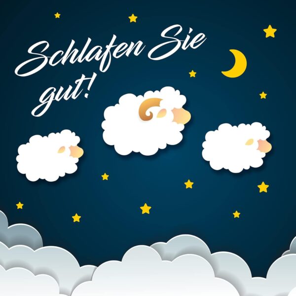 Gute Nacht | Einschlafhilfe – schnell ein- und gut durchschlafen | Mit natürlichem Melatonin, Tryptophan, Melissen- und Baldrianwurzelextrakt | EuRho® Vital – Made in Germany | 60 Kapseln – Bild 6