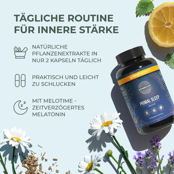 Primal Harvest® Schlaf Gut Kapseln (60 Stk) – Natürliche Mischung mit Apigenin, L-Tryptophan, Kamille und Baldrian - Kräutermischung als Melatonin-Alternative - In Deutschland hergestellt – Bild 5