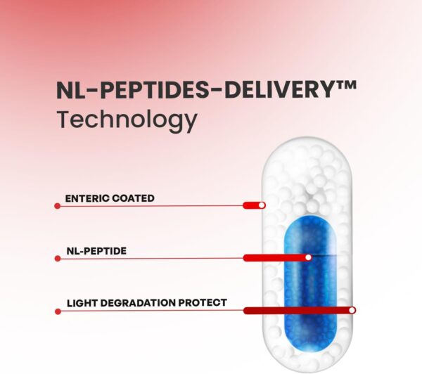 SYNTHAGEN LABORATORIES - NL-EPITHALON - PENTAPEPTID - Zur Verlangsamung des Alterns - Zur Verbesserung der Schlafqualität und der circadianen Rhythmen - Anti-Aging-Peptide - Antioxidative Wirkung – Bild 5