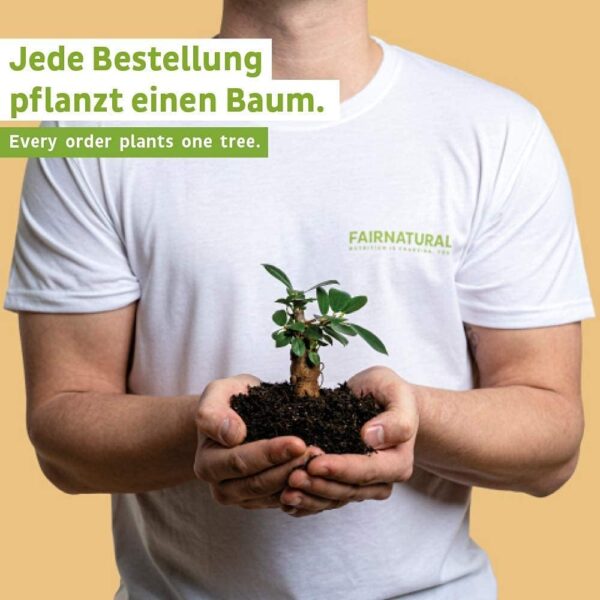 Fairnatural Melatonin Komplex Kapseln Vegan [Regional aus Deutschland] Mit Baldrian, Melisse & Passionsblume für Deine ruhige Nacht | 90 Kapseln | Clean & hochdosiert – Bild 6