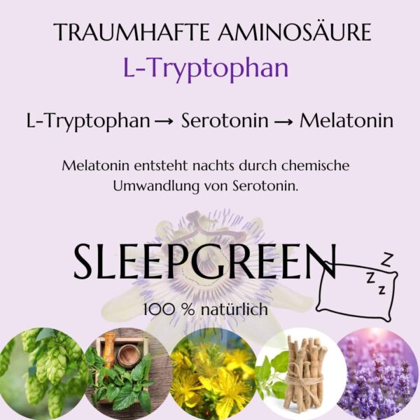 Green idea - SLEEPGREEN Schlaftabletten Besser einschlafen – Ashwagandha, Johanniskraut, L-Tryptophan, Baldrian, Hopfen – kein Melatonin – Beruhigungsmittel Mensch - Einschlafhilfe Erwachsene 90 kaps – Bild 4