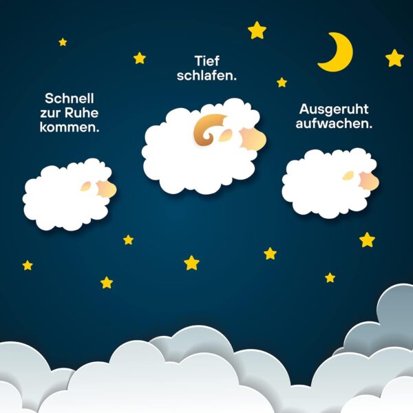Gute Nacht | Einschlafhilfe – schnell ein- und gut durchschlafen | Mit natürlichem Melatonin, Tryptophan, Melissen- und Baldrianwurzelextrakt | EuRho® Vital – Made in Germany | 60 Kapseln – Bild 3
