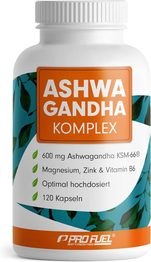 Ashwagandha Kapseln 𝗵𝗼𝗰𝗵𝗱𝗼𝘀𝗶𝗲𝗿𝘁 120x - 600 mg Ashwagandha KSM-66® pro Tag - Ashwagandha Komplex mit Magnesium, Zink & Vitamin B6 - ohne unerwünschte Zusatzstoffe - laborgeprüft