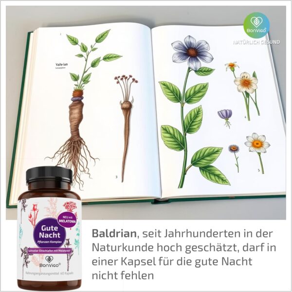 BonVigo® Gute Nacht Kapseln - Jetzt verbessert: Schneller einschlafen mit Melatonin* - Wertvolle Pflanzen-Extrakte Passionsblume und Baldrian - B-Vitamine für Nerven, Herz, Hormone – Bild 7