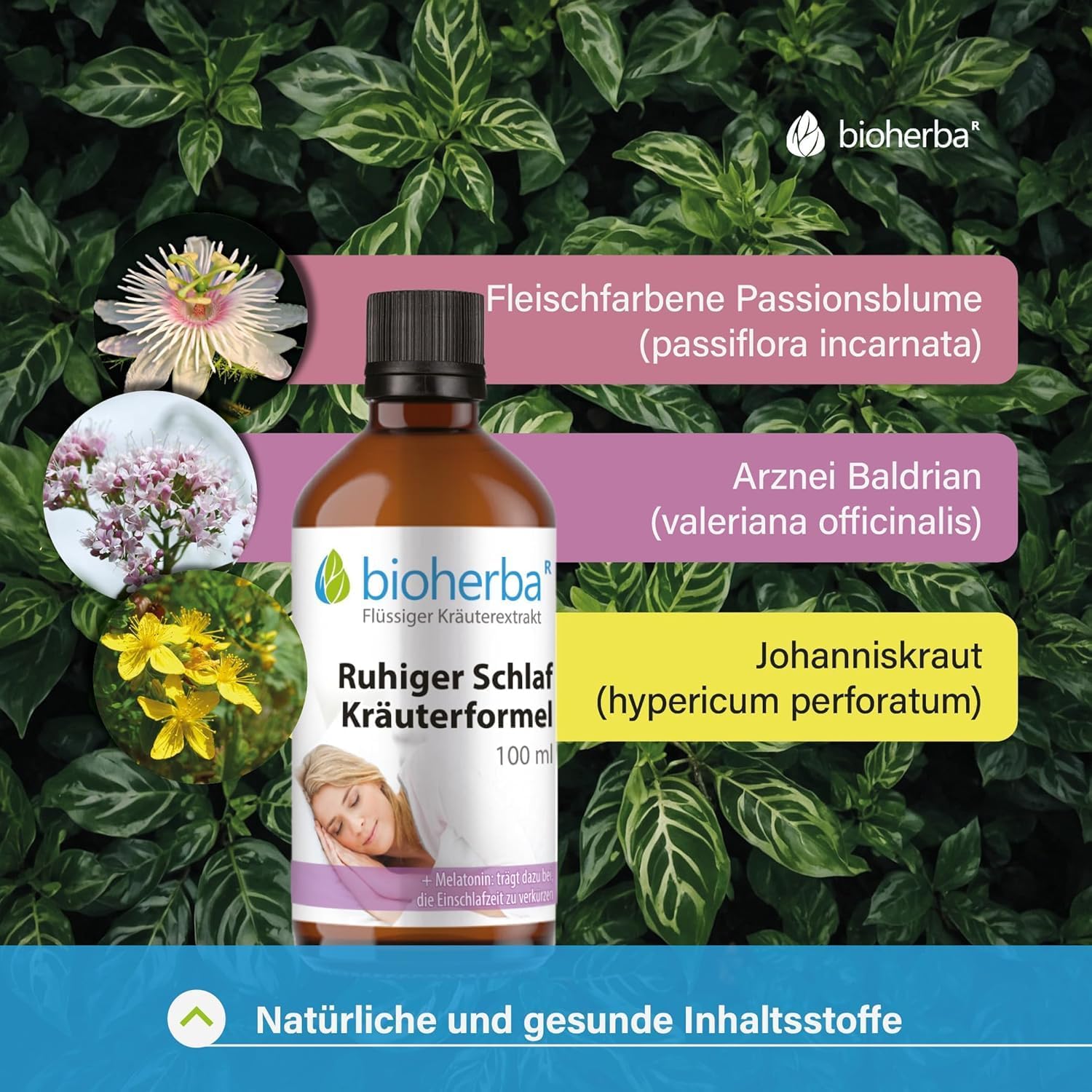 Melatonin Hochdosiert Tropfen mit Baldrian Ruhiger Schlaf Kräuterformel 100 ml Tinktur mit Johanniskraut & Passionsblume wie Einschlafspray in Tropfenform Natürliche Unterstützung, vegan, BIOHERBA – Bild 3