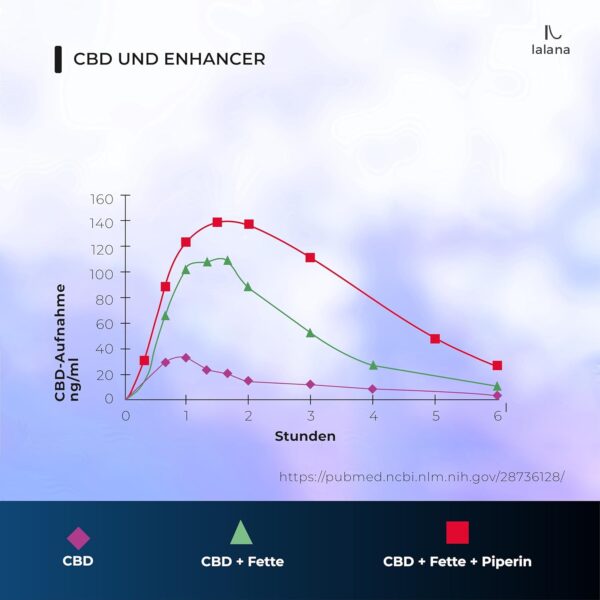 LALANA OIL ® CBD Öl 20% mit Melatonin, Nachtformel, Vollspektrum 30ml, 6.000mg Curcumin, Piperin, Safranextrakt, Vitamin B6 – Bild 4