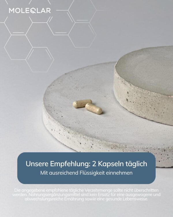 MoleQlar QNIGHT Relax Complex 60 Kapseln - Mit Ashwagandha (KSM66), melatoninhaltigem Sauerkirschextrakt und Magnesiumbisglycinat - Nahrungsergänzungsmittel mit innovativer Formulierung – Bild 3