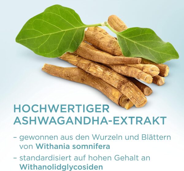 Relax Ashwagandha Gummibärchen hochdosiert - mit Ashwaganda Extrakt und Vitamin B6 - Vitamin Gummies für Psyche und Nervensystem als Alternative zu Schlafbeere Ashwagandha Kapseln - 60 Stk – Bild 4