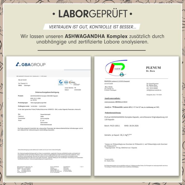 Ashwagandha Kapseln 𝗵𝗼𝗰𝗵𝗱𝗼𝘀𝗶𝗲𝗿𝘁 120x - 600 mg Ashwagandha KSM-66® pro Tag - Ashwagandha Komplex mit Magnesium, Zink & Vitamin B6 - ohne unerwünschte Zusatzstoffe - laborgeprüft – Bild 5