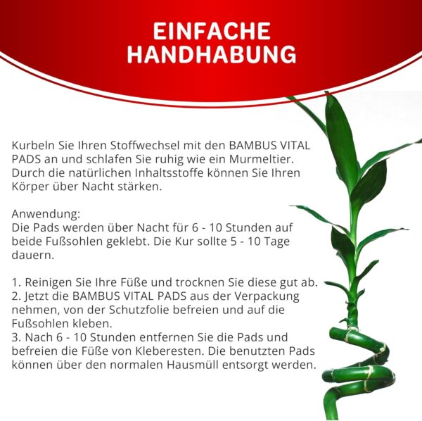 G&M Bambus Detox Fußpflaster, 10 Entgiftungspflaster für Füße, 100 % natürliche Wellness Energiepflaster, Deep Cleansing für Stressreduktion und Entschlackung des Körpers im Schlaf – Bild 5