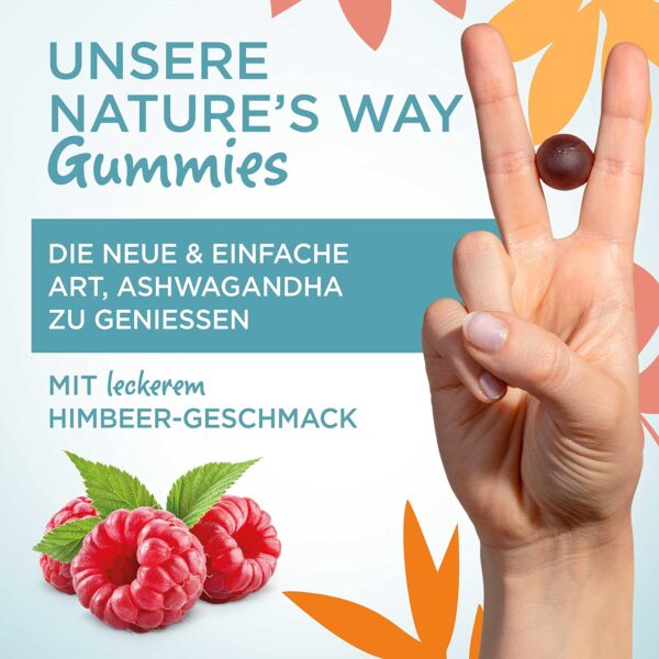 Relax Ashwagandha Gummibärchen hochdosiert - mit Ashwaganda Extrakt und Vitamin B6 - Vitamin Gummies für Psyche und Nervensystem als Alternative zu Schlafbeere Ashwagandha Kapseln - 60 Stk – Bild 2