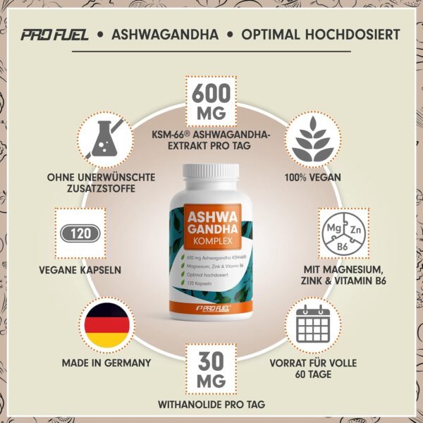 Ashwagandha Kapseln 𝗵𝗼𝗰𝗵𝗱𝗼𝘀𝗶𝗲𝗿𝘁 120x - 600 mg Ashwagandha KSM-66® pro Tag - Ashwagandha Komplex mit Magnesium, Zink & Vitamin B6 - ohne unerwünschte Zusatzstoffe - laborgeprüft – Bild 2