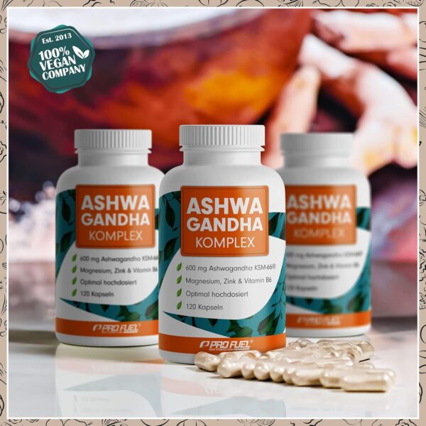 Ashwagandha Kapseln 𝗵𝗼𝗰𝗵𝗱𝗼𝘀𝗶𝗲𝗿𝘁 120x - 600 mg Ashwagandha KSM-66® pro Tag - Ashwagandha Komplex mit Magnesium, Zink & Vitamin B6 - ohne unerwünschte Zusatzstoffe - laborgeprüft – Bild 4